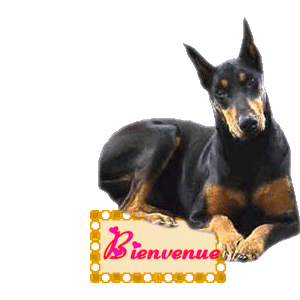 Gif animé bienvenue chien